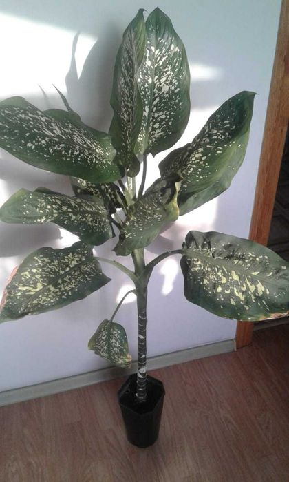 Светильник на аквариум 85 см.