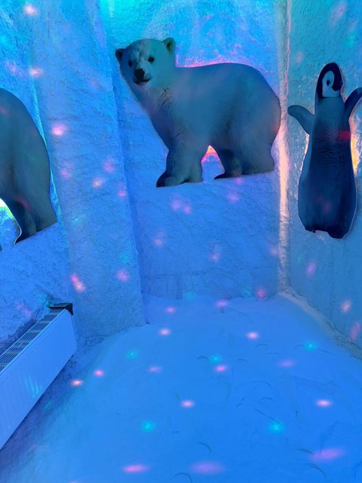 Солевая шахта.Тұзды шахта