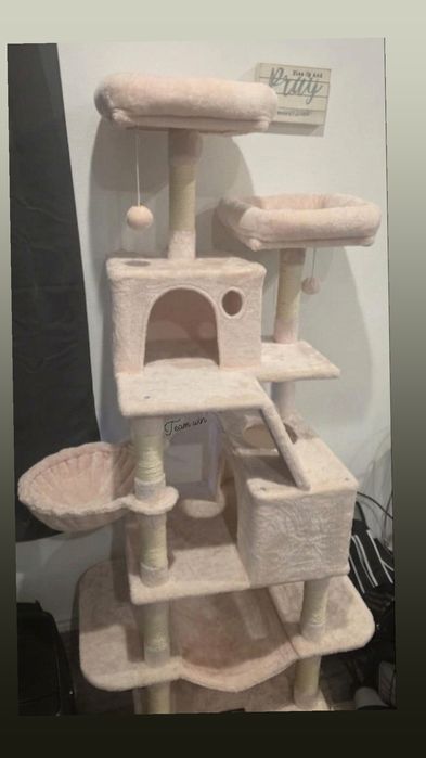 Котешка катерушка