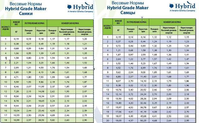 Таблица роста хайбрид конвертер. Таблица привеса индюков. Таблица привесов индюка Хайбрид конвектор. Таблица привеса индюков Хайбрид по дням. Таблица веса индюков Хайбрид.