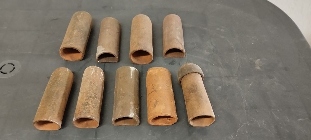 Grote ancistrus pelco