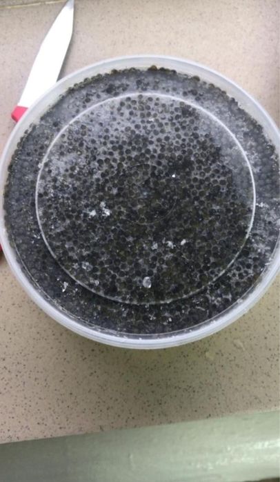 Черная / кара икра