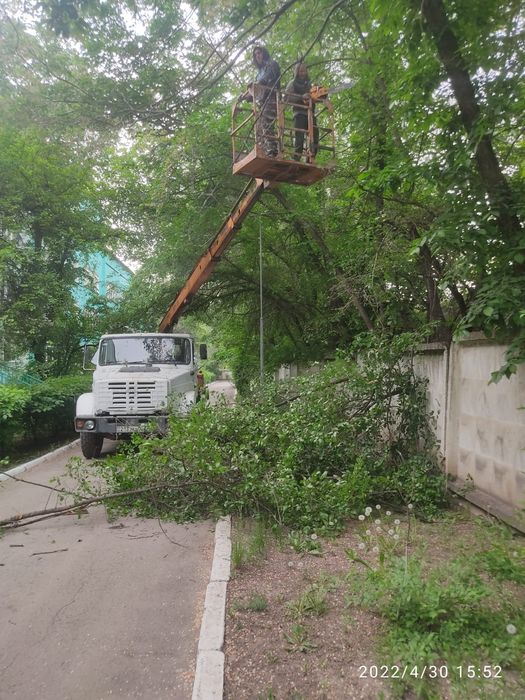 Спил,пилим деревья