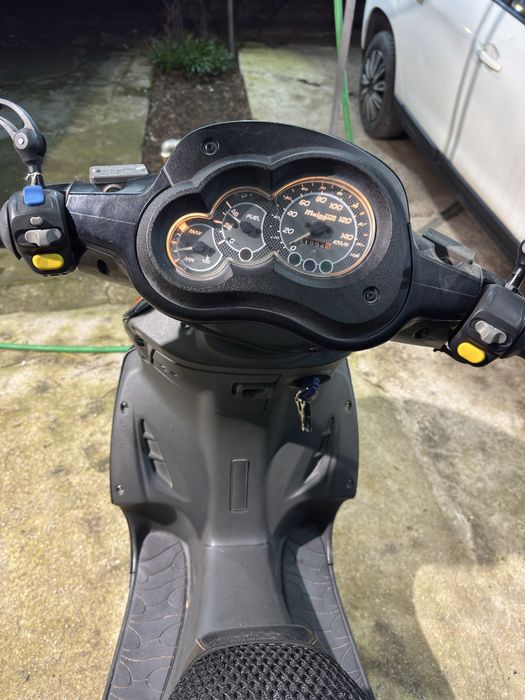 Malaguti  warrior f18