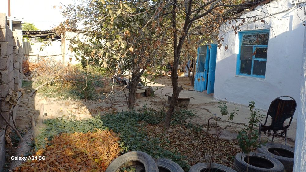 Уй сатылады Асықата