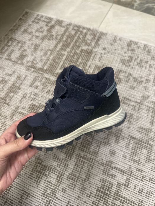 Демисезонные сапоги Ecco