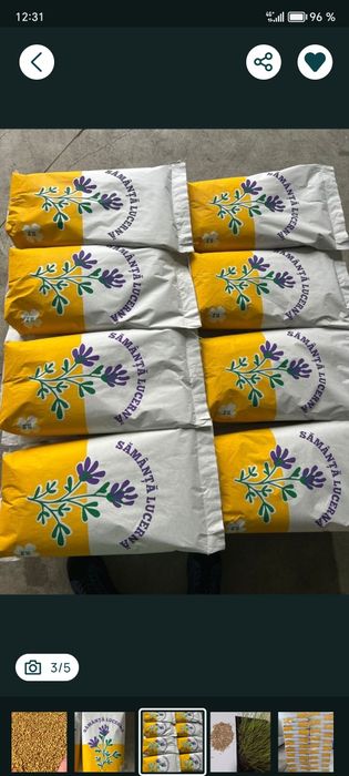 Vănd sămânța de lucernă calitatea 1