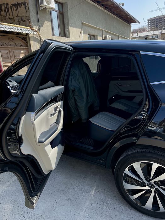 BVD chempion 605 tali toza