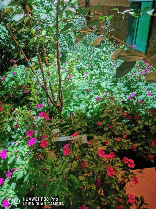 Huawei p30 pro флагман