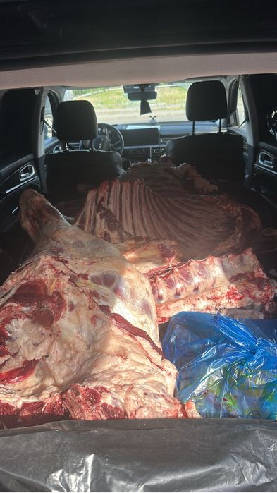 Принимаю мясо крс