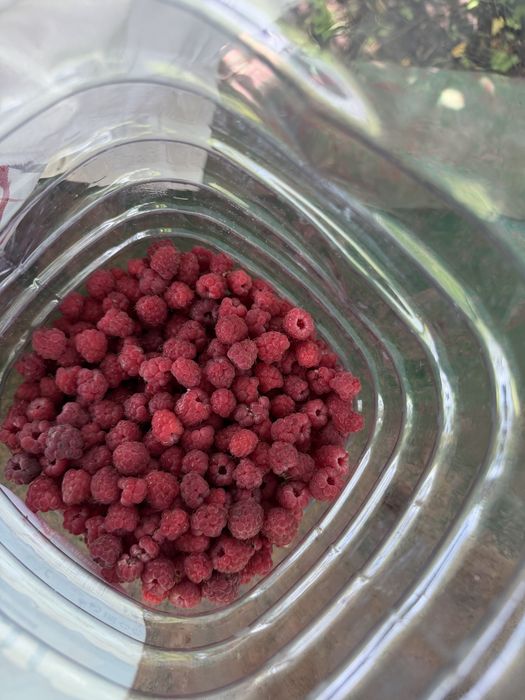 Продам дачу за Кривым озером