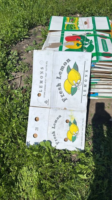 Каропка для огурцов буу