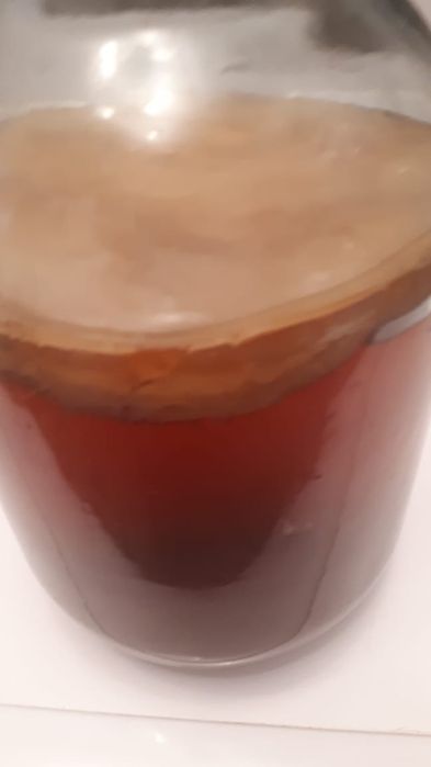 Продам чайный гриб