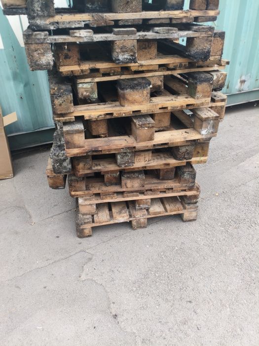 продам поддоны, по 800тенге.