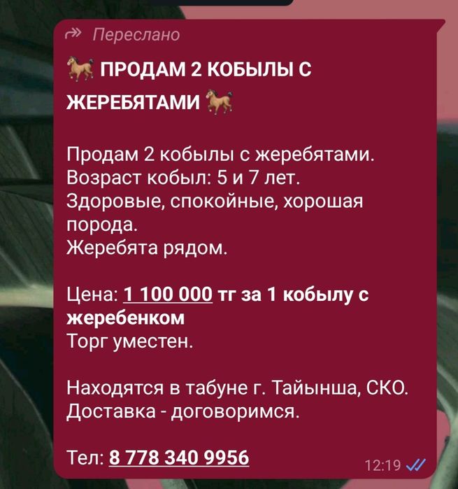 Продам Кобыл с жеребятами