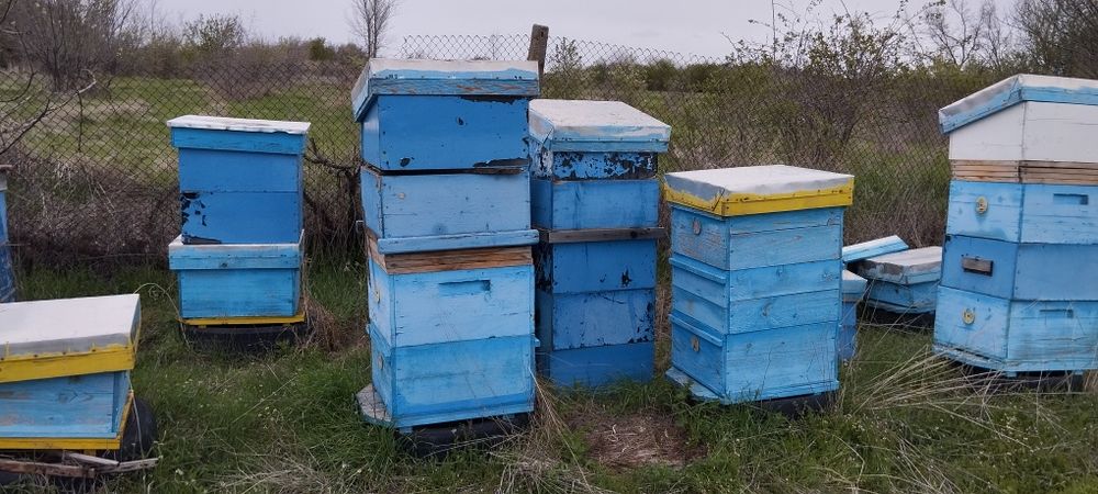 Кошери лр празни