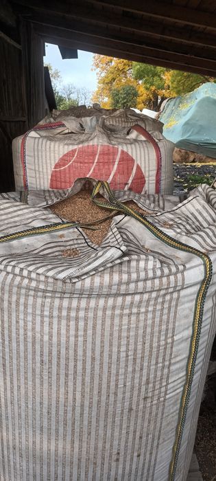 Grău si orz de vănzare