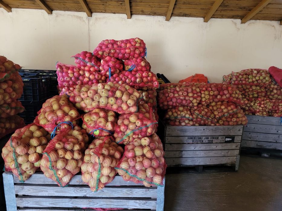 Mere de vanzare pentru suc si țuică