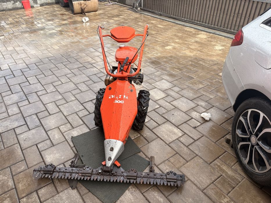 Cositoare agria 300