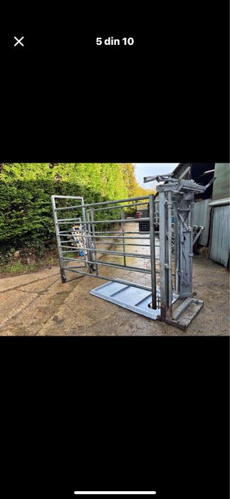 Stand contentie bovine de carne