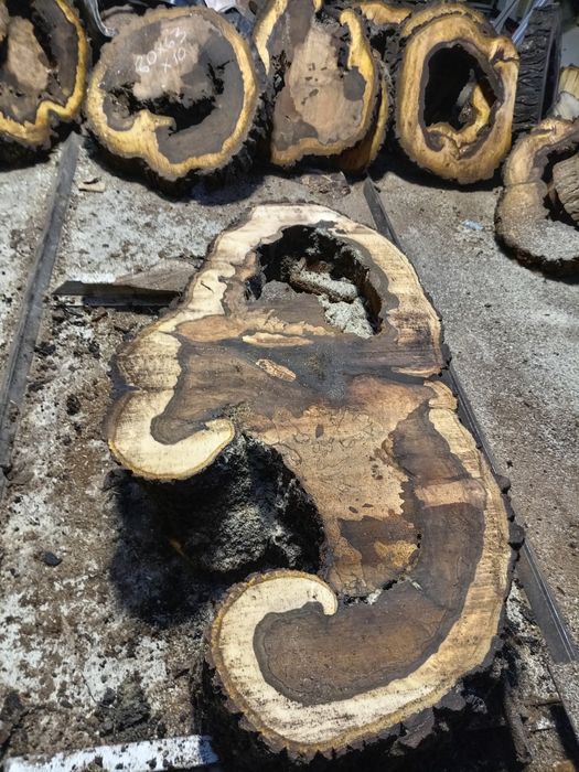 Nuc uscat rondele blaturi scânduri capace