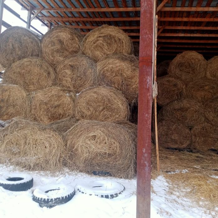 Продам свежее сено.