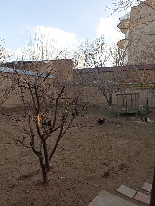 Продаю свой дом 6сот