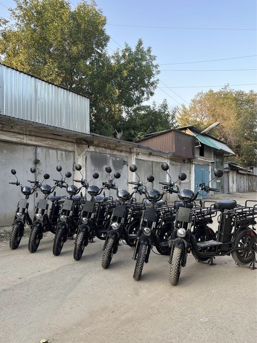 Аренда Электровелосипедов от ZARYAD