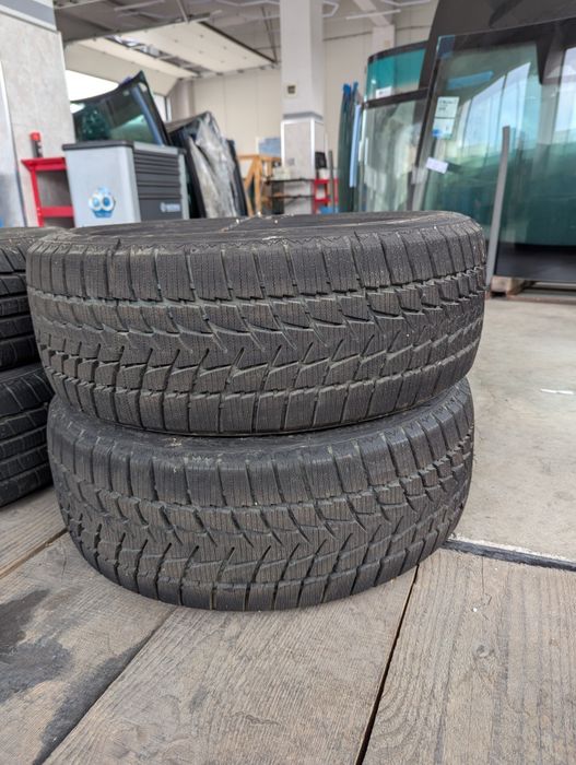 Нови зимни гуми 195/55/16 Radar Dimax Alpine