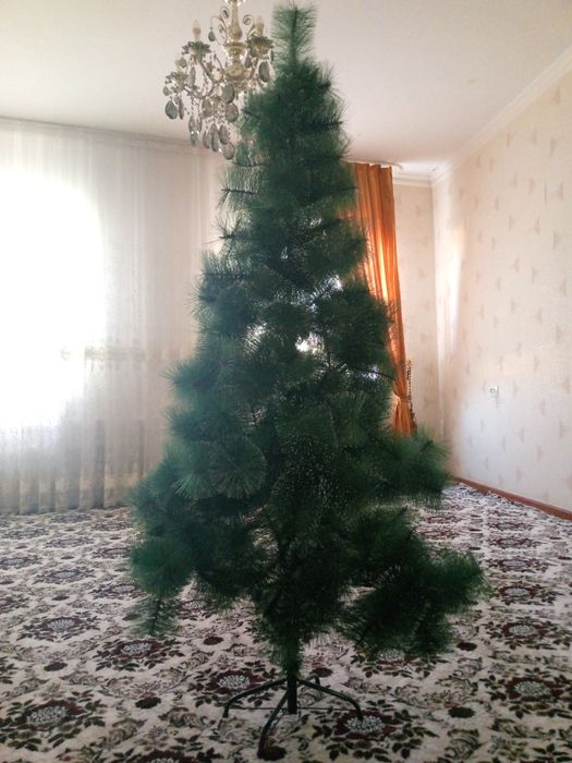 Ёлка таза 1м 80см бахасы 400000 сум