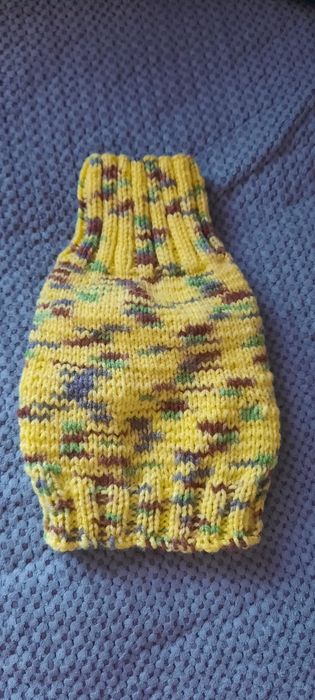 Свитер для любимого питомца