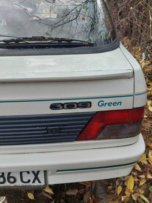 Peugeot 309 GREEN