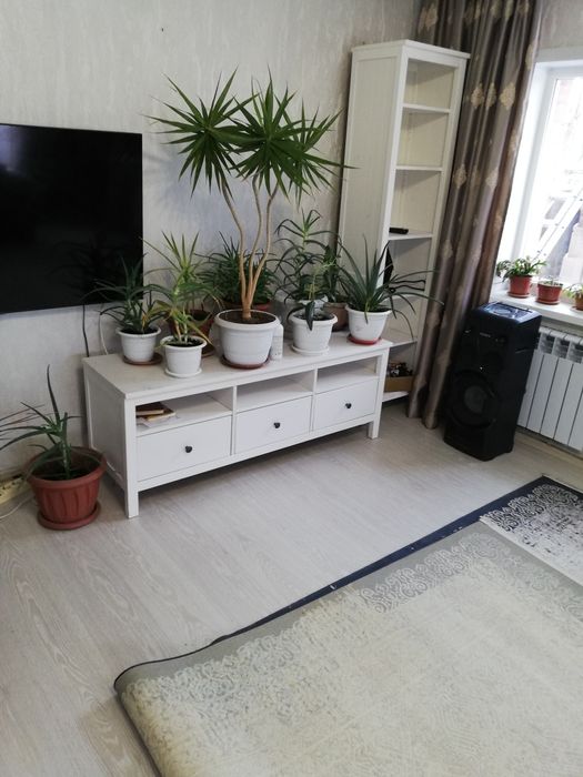 Цветы комнатные в горшках