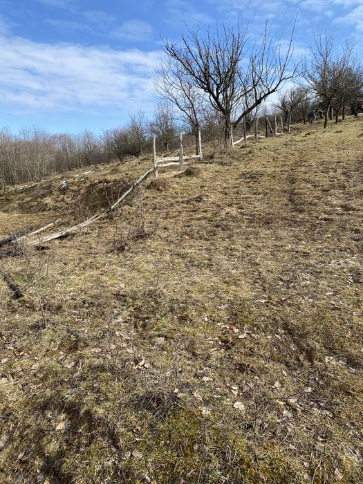 Teren extravilan pretabil pentru casă de vacantă