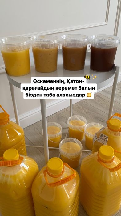 Қатон қарағай балы мед Катон Карагай