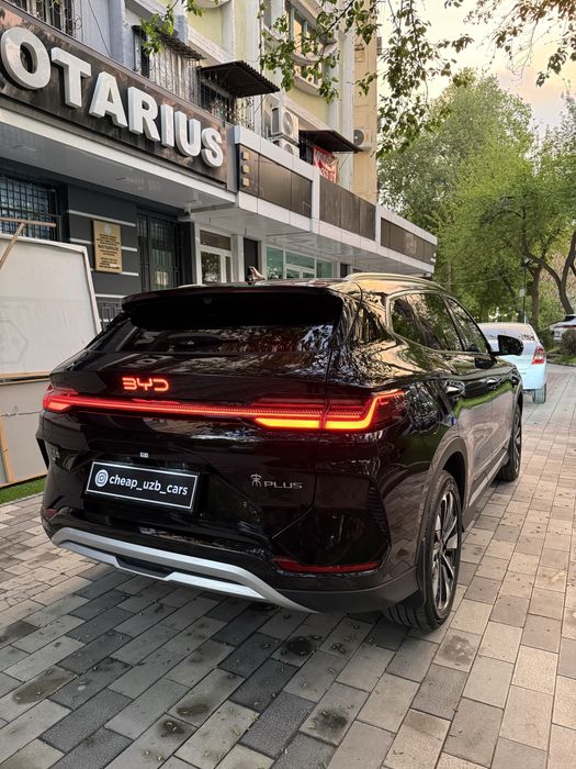 BYD Champion Smart 2025 yil