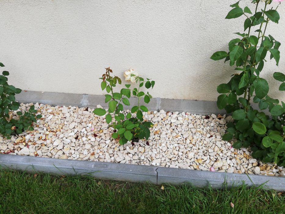 MARMURA ALBA decorativa,granit antracit,calcaroasa bej,mozaic