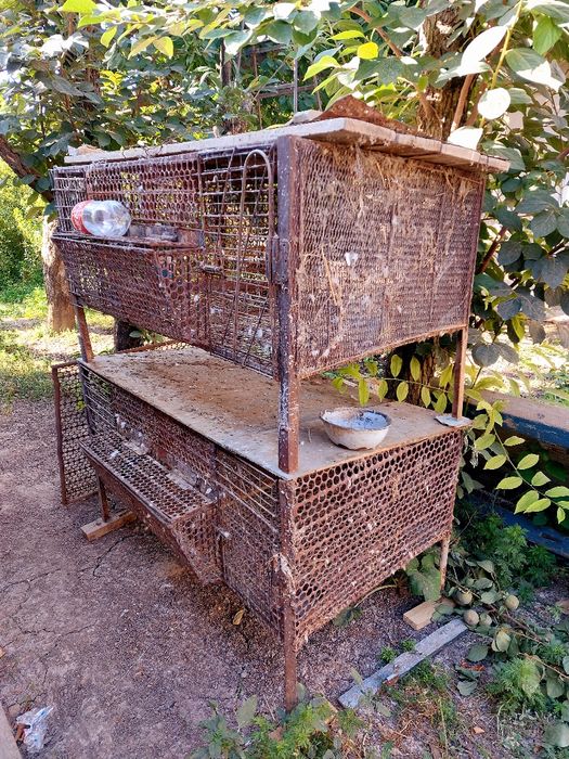 Срочна сотилади куёонхона