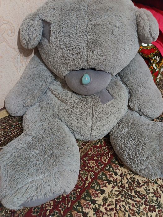 Teddy ayiqcha judayam kotta