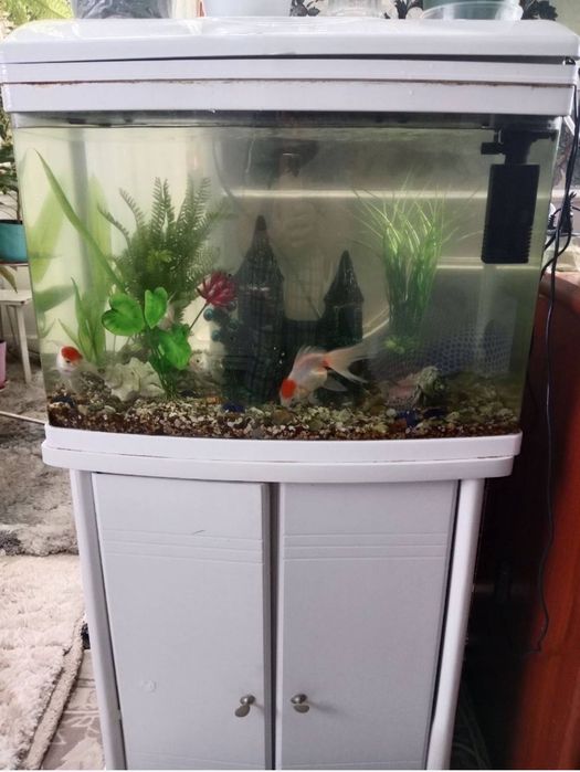 Продается аквариум 100л