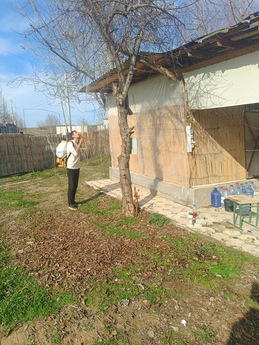 Bog'bon sadovnik 12-yilik agranom