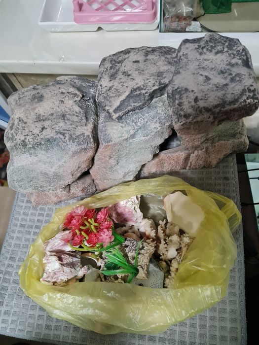 Продам аквариум с декором