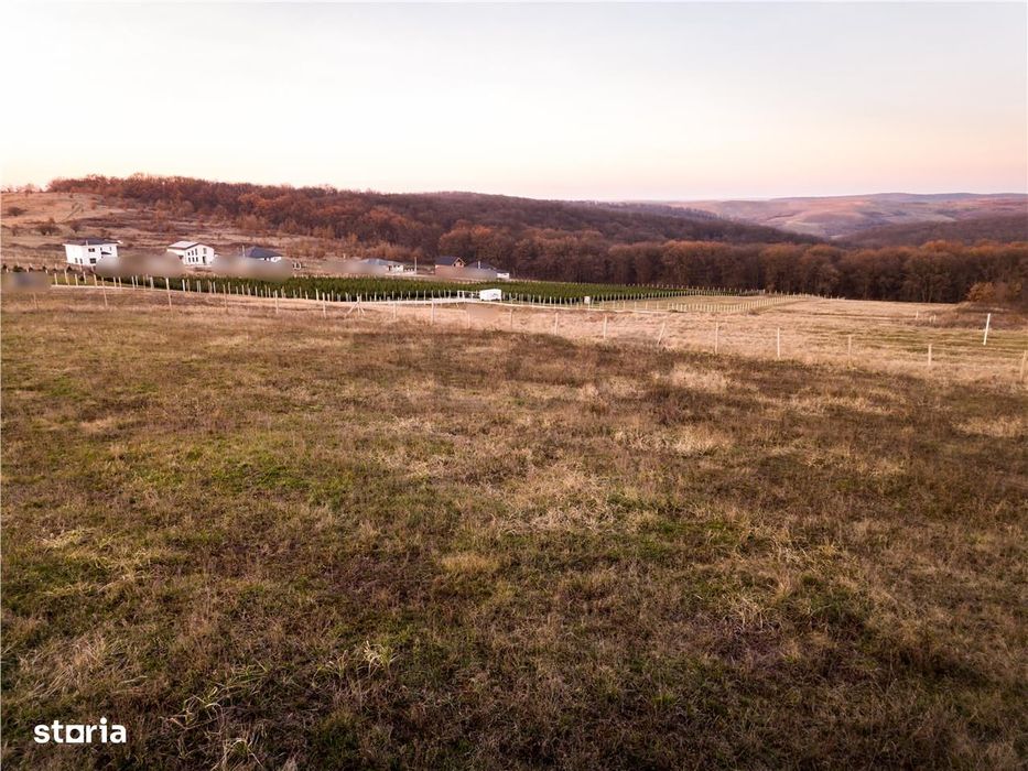 RECO Teren intravilan in Saldabagiu de Munte
