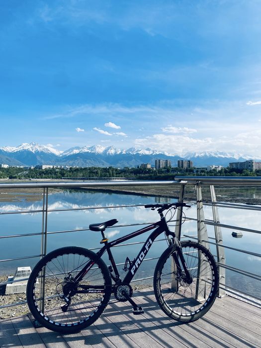 Велосипед PRO-FI mtb