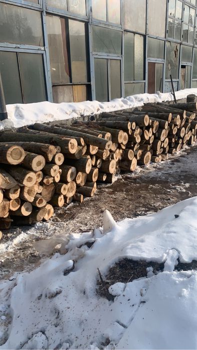 Vand lemne de plop la 250lei metru ster