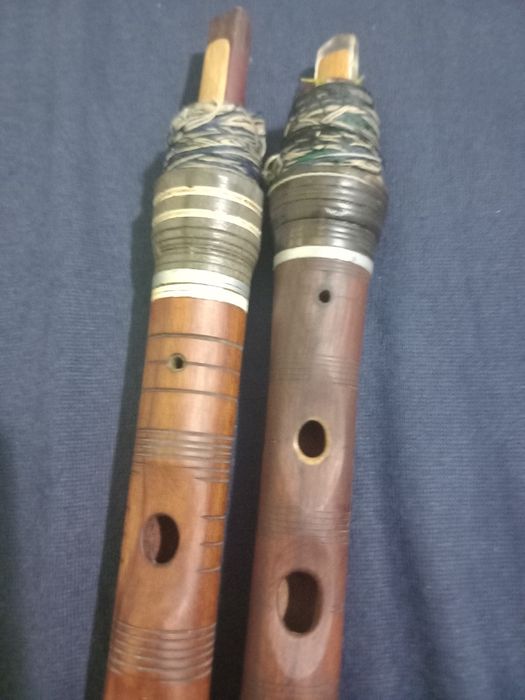 Сол и Ре гайдуници