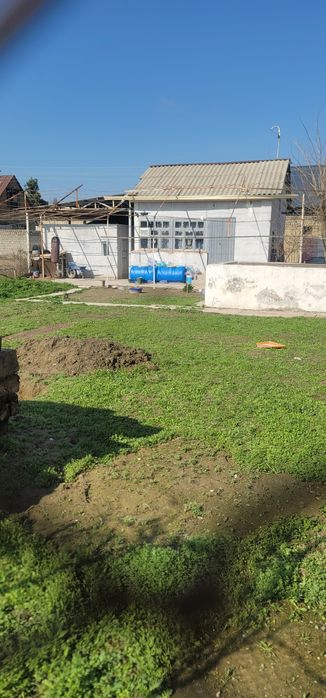 Sayoxatda 6 sotiqlik dacha sotiladi