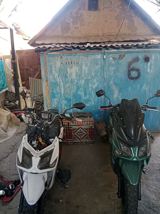 Срочно продам 2 самурая