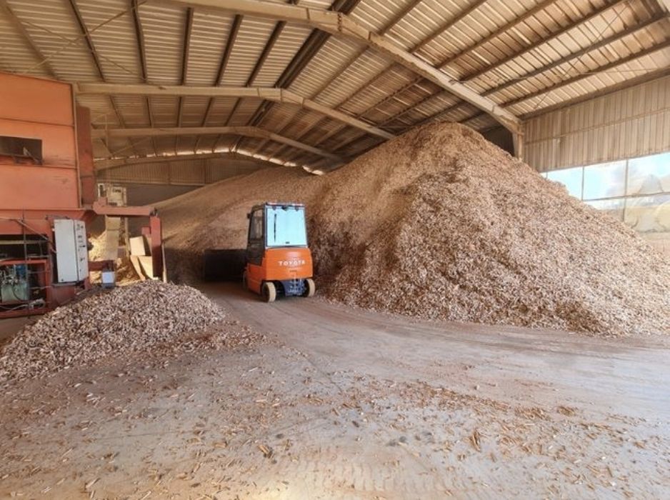 Tocatură lemn rasinoase faioase biomasa