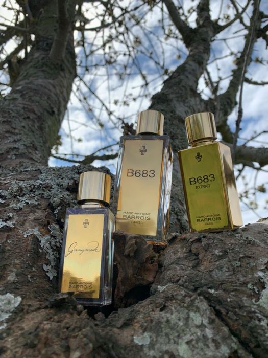 Marc-Antoine Barrois B 683 .